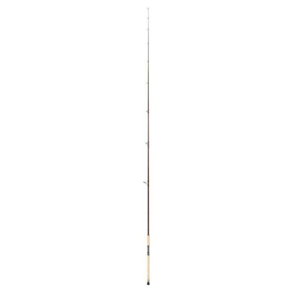 Shimano Raider 12' 2pc 5-10kg Surf Rod - Image 2